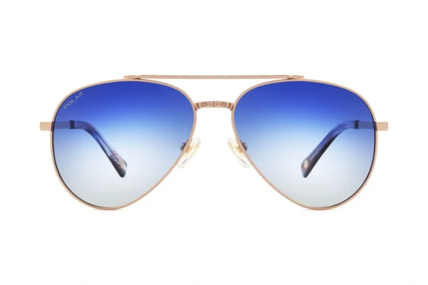 Polar GOLD SUN Davidson_61 08/Q