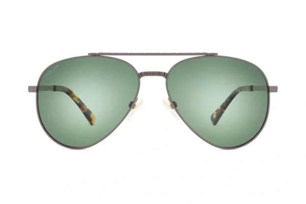 Polar GOLD SUN Davidson_61 48