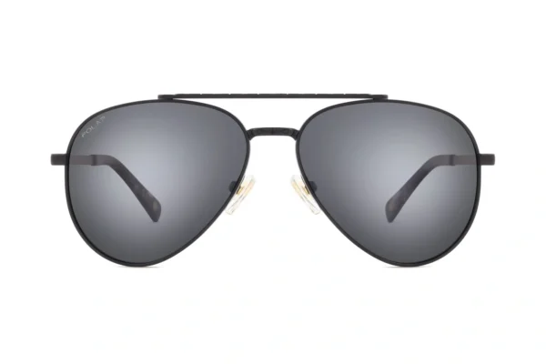 Polar GOLD SUN Davidson_61 76/F