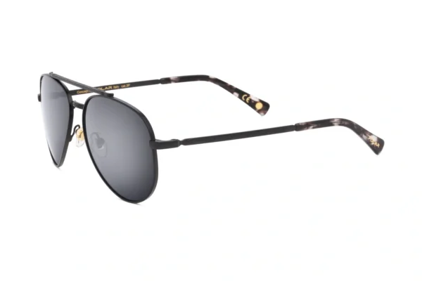 Polar GOLD SUN Davidson_61 76/F – Bild 2