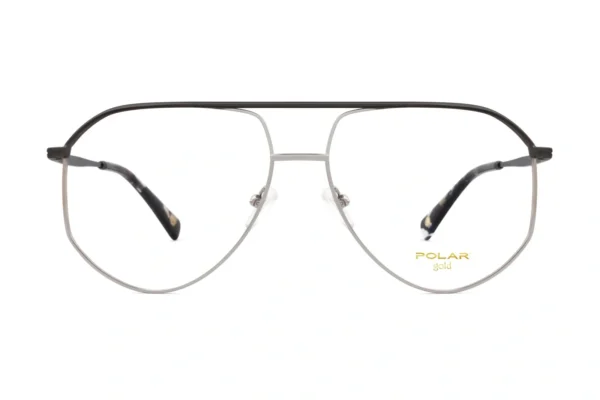 Polar GOLD 309 76