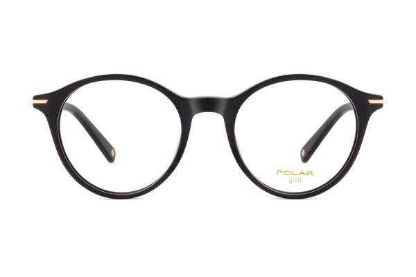 Polar GOLD 1020 77