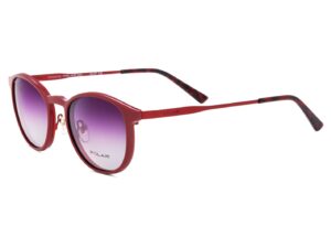 Polar CLIP-ON 8006 22